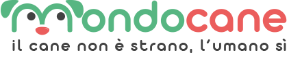 mondocane